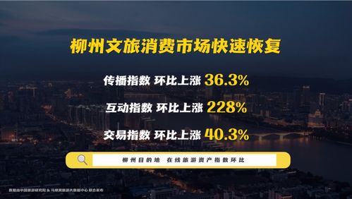 以智互聯(lián)看柳州 柳州市文化旅游互聯(lián)網推廣數(shù)據(jù)發(fā)布會成功舉辦 網絡文化經營展新姿